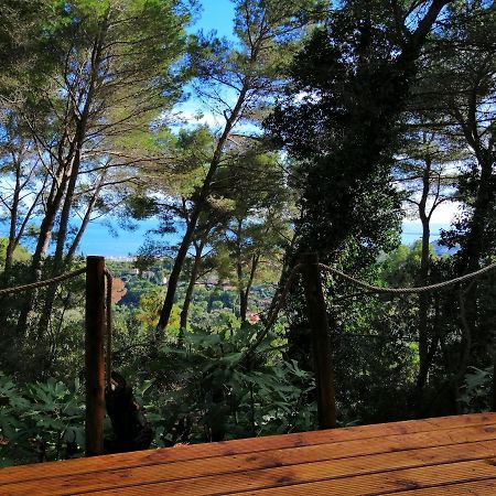 Cabane Azur Mountain Vallauris Dış mekan fotoğraf