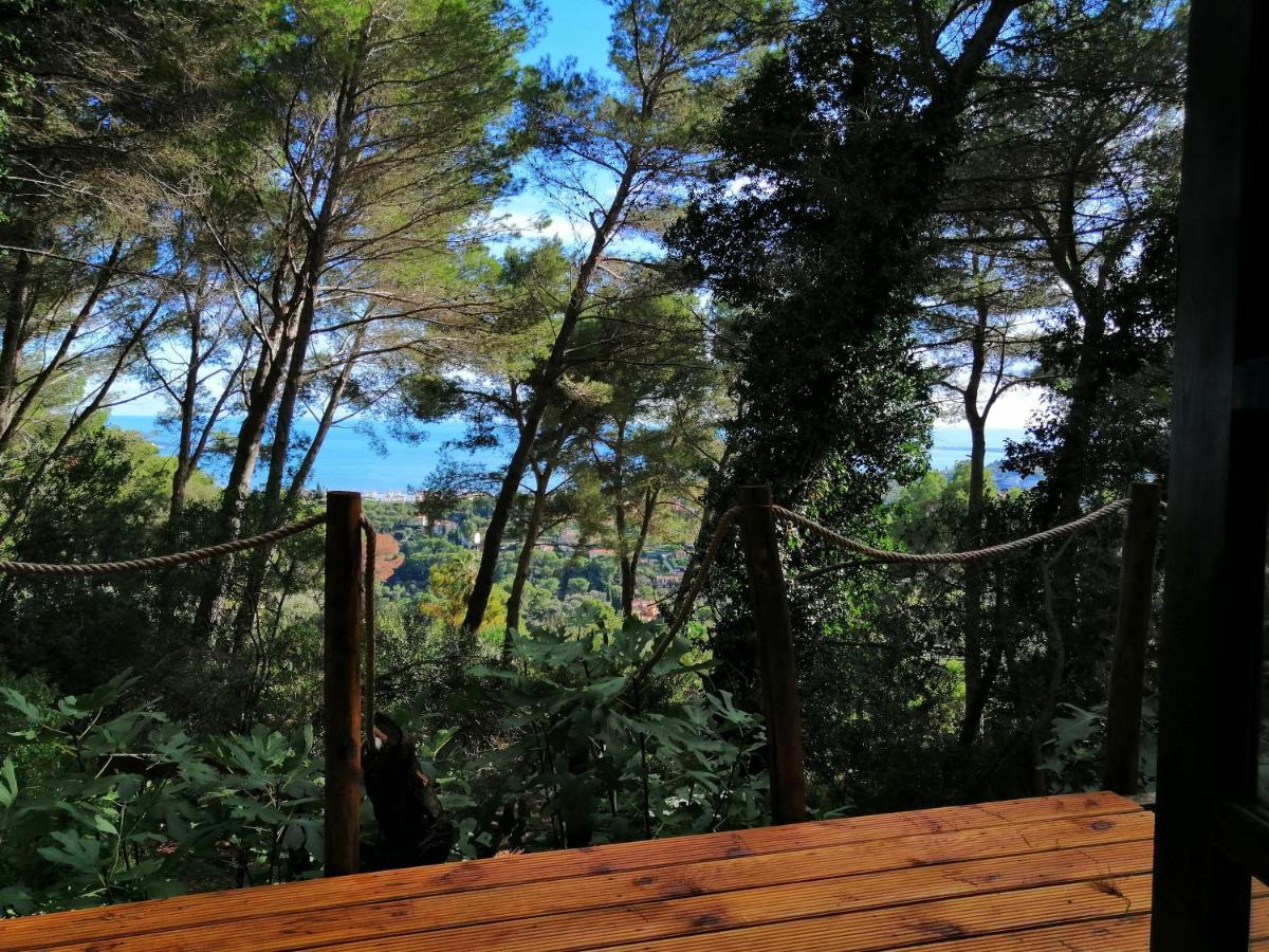 Cabane Azur Mountain Vallauris Dış mekan fotoğraf