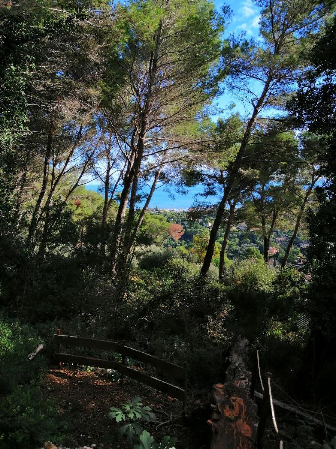 Cabane Azur Mountain Vallauris Dış mekan fotoğraf